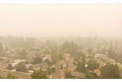 Best Air Filters for Wildfire Smoke