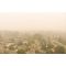 Best Air Filters for Wildfire Smoke