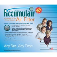 20x20x1 Day and Night® Air Purifier Carbon Filters