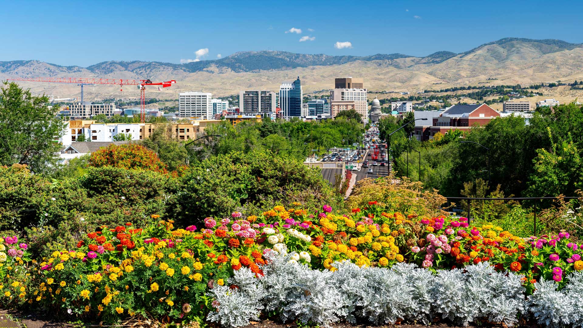 Skyline-of-Boise-Idaho-with-colorful-flowers-in-the-foreground-spreading-pollen Skyline-of-Boise-Idaho-with-colorful-flowers-in-the-foreground-spreading-pollen